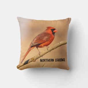 Northern Cardinal Cushion