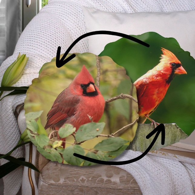 Northern Cardinal Double-Sided Nature Photography Round Cushion (Creator Uploaded)