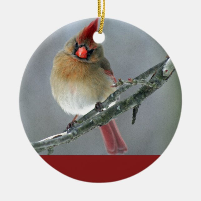Northern Cardinal Female Ceramic Tree Decoration (Front)