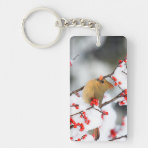 Northern Cardinal female on Common Winterberry Key Ring