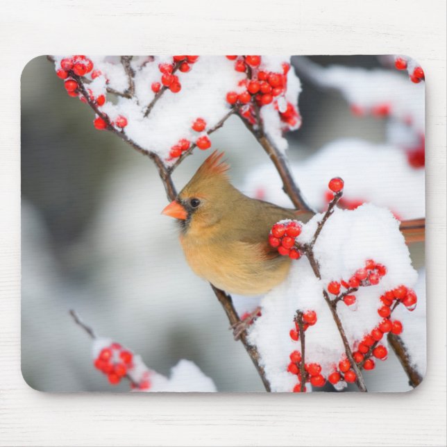 Northern Cardinal female on Common Winterberry Mouse Mat (Front)