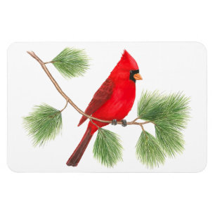 Northern Cardinal Flexi Magnet