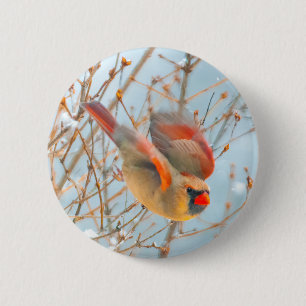 Northern Cardinal Flying - Original Photograph 6 Cm Round Badge