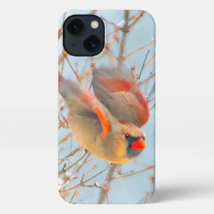 Northern Cardinal Flying - Original Photograph iPhone 13 Case