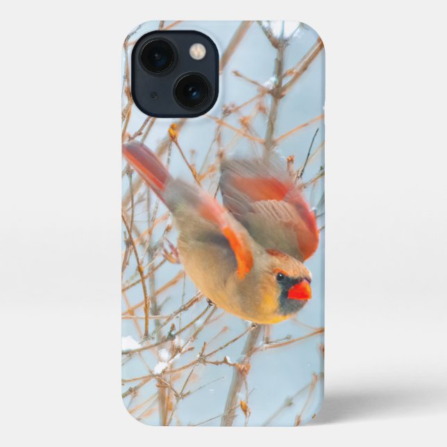 Northern Cardinal Flying - Original Photograph iPhone Case (Back)