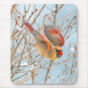 Northern Cardinal Flying - Original Photograph Mouse Mat