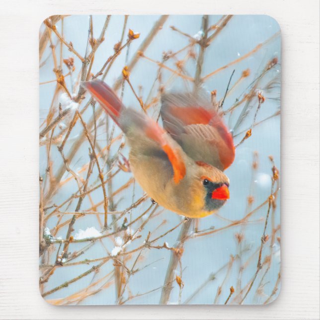 Northern Cardinal Flying - Original Photograph Mouse Mat (Front)