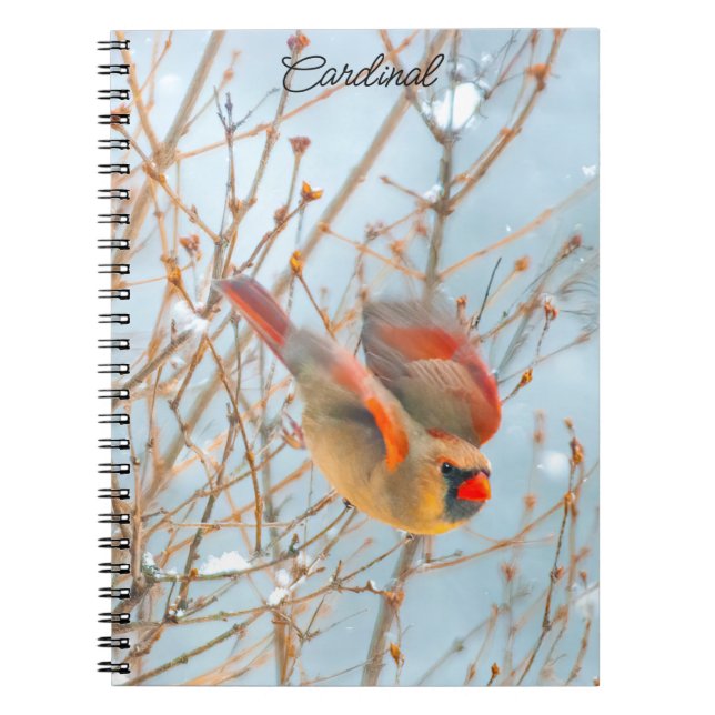 Northern Cardinal Flying - Original Photograph Notebook (Front)