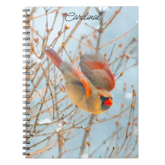 Northern Cardinal Flying - Original Photograph Notebook