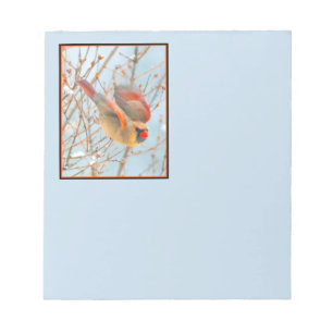 Northern Cardinal Flying - Original Photograph Notepad