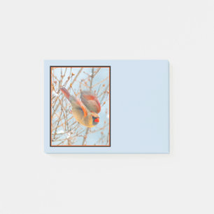 Northern Cardinal Flying - Original Photograph Post-it Notes