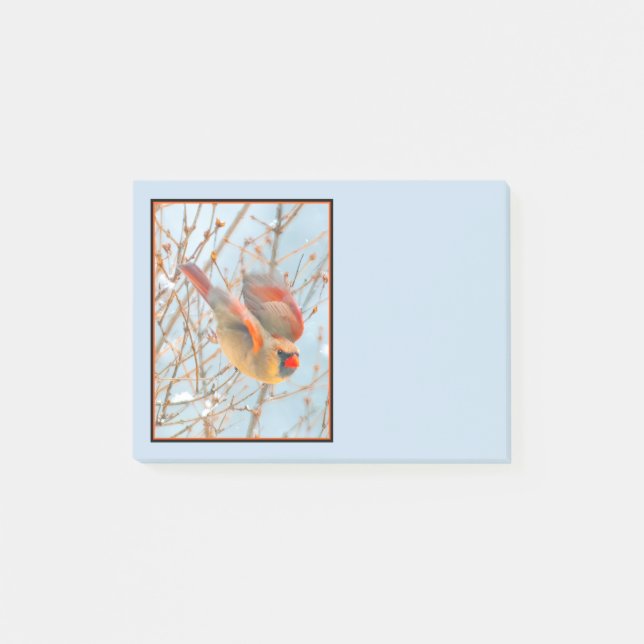 Northern Cardinal Flying - Original Photograph Post-it Notes (Front)