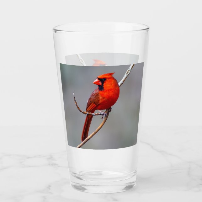 Northern Cardinal Glass Tumbler (Front)