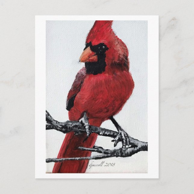 Northern Cardinal Holiday Postcard (Front)
