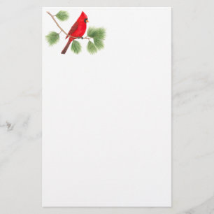 Northern Cardinal Illustration Stationery