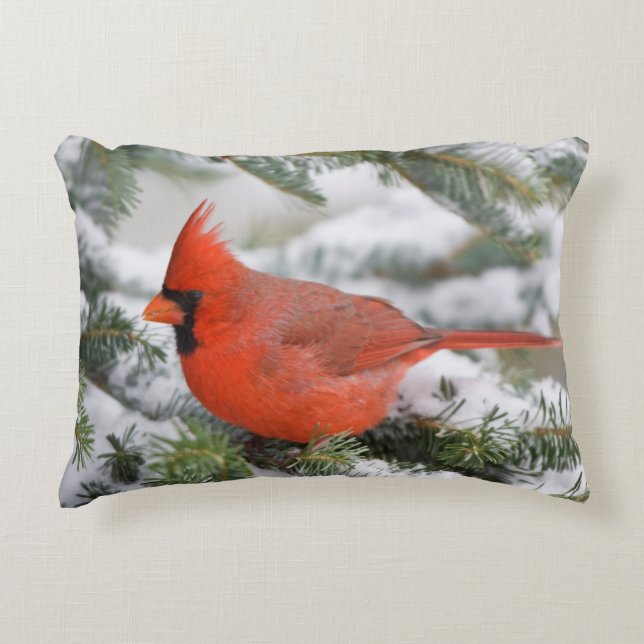 Northern Cardinal in Balsam fir tree in winter Decorative Cushion (Front)