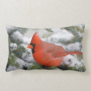 Northern Cardinal in Balsam fir tree in winter Lumbar Cushion