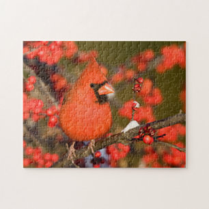 Northern Cardinal in Common Winterberry Jigsaw Puzzle