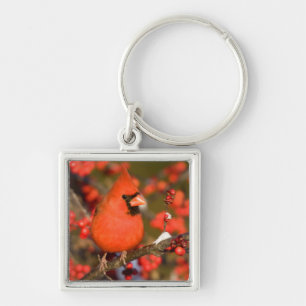 Northern Cardinal in Common Winterberry Key Ring
