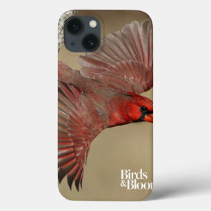 Northern Cardinal In Flight iPhone 13 Case