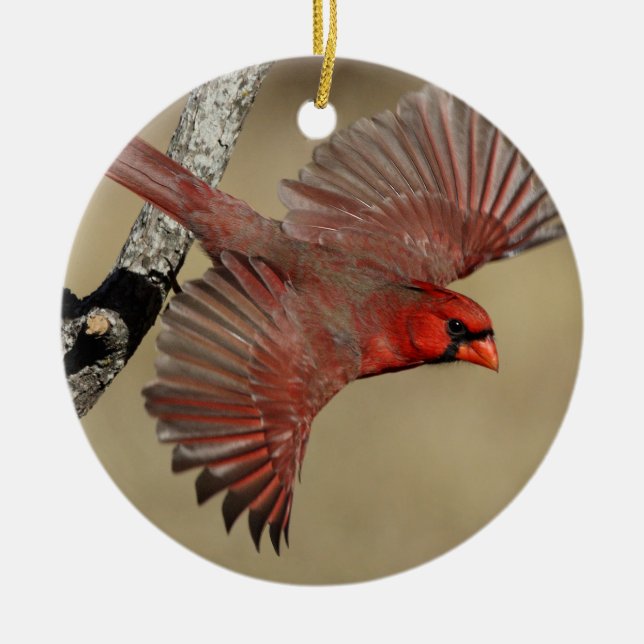 Northern Cardinal In Flight Ceramic Tree Decoration (Front)