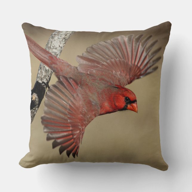 Northern Cardinal In Flight Cushion (Front)