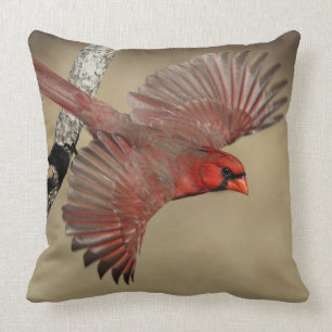 Northern Cardinal In Flight Cushion