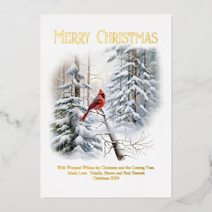 Northern Cardinal in Snowy Woods  Foil Holiday Card