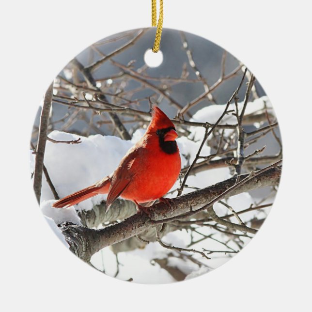 Northern cardinal in the snow ceramic tree decoration (Front)