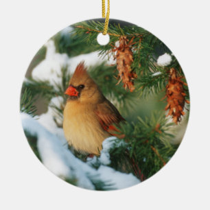 Northern Cardinal in tree, Illinois Ceramic Tree Decoration