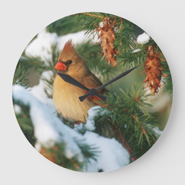 Northern Cardinal in tree, Illinois Large Clock (Front)