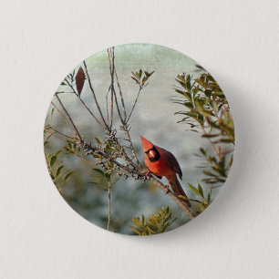 Northern Cardinal in Wax Myrtle 6 Cm Round Badge