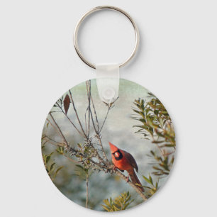 Northern Cardinal in Wax Myrtle Key Ring