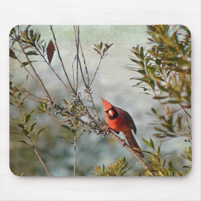 Northern Cardinal in Wax Myrtle Mouse Mat (Front)
