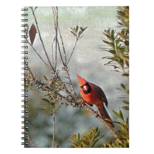 Northern Cardinal in Wax Myrtle Notebook (Front)
