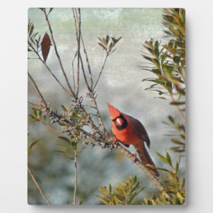 Northern Cardinal in Wax Myrtle Plaque