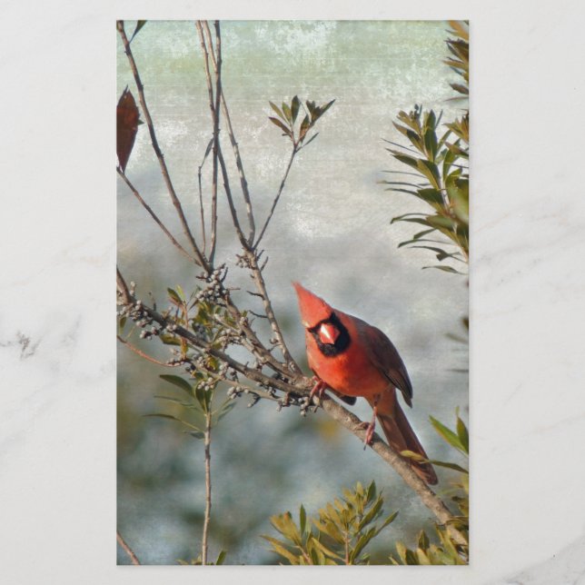 Northern Cardinal in Wax Myrtle Stationery (Front)