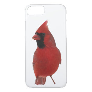 Northern Cardinal iPhone 8/7  Case
