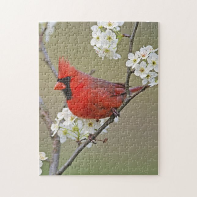 Northern Cardinal Jigsaw Puzzle (Vertical)