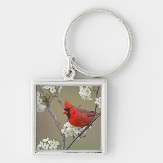 Northern Cardinal Key Ring (Front)