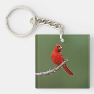 Northern Cardinal Key Ring