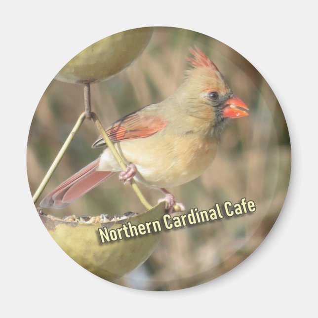 Northern Cardinal magnet (Front)