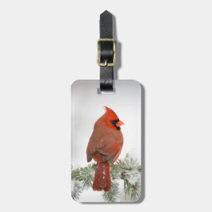 Northern Cardinal male on Blue Atlas Cedar Luggage Tag