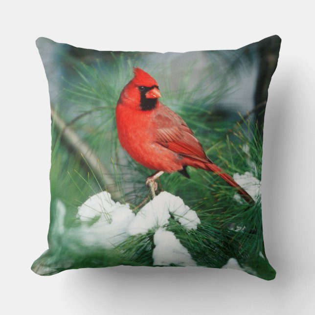 Northern Cardinal male on tree, IL Cushion (Front)
