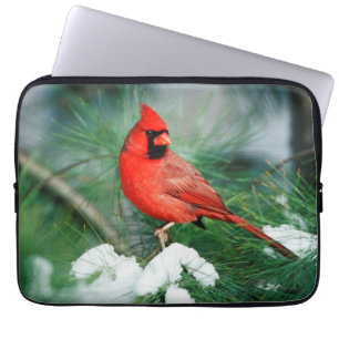 Northern Cardinal male on tree, IL Laptop Sleeve
