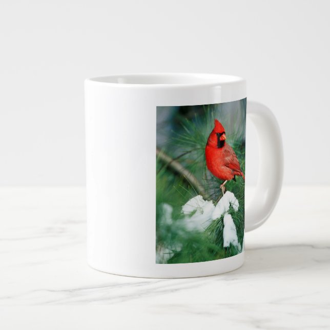 Northern Cardinal male on tree, IL Large Coffee Mug (Front Right)