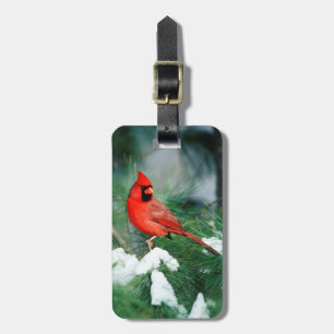 Northern Cardinal male on tree, IL Luggage Tag