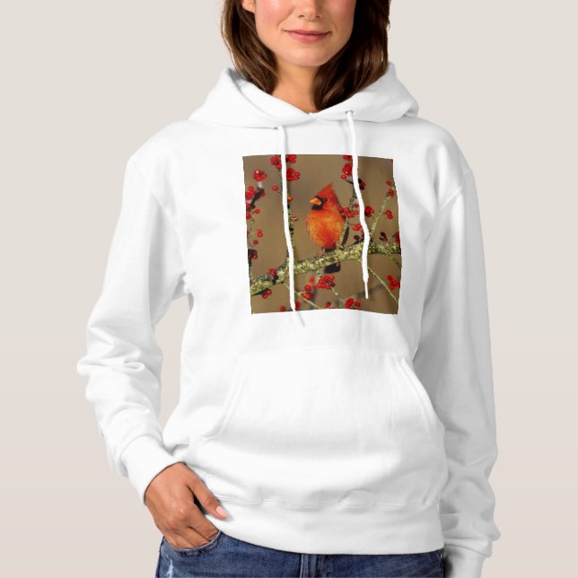 Northern Cardinal male perched, IL Hoodie (Front)