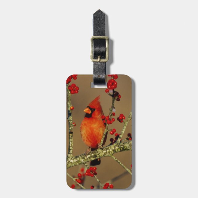 Northern Cardinal male perched, IL Luggage Tag (Front Vertical)