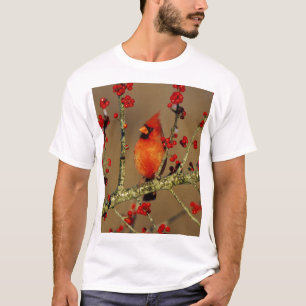 Northern Cardinal male perched, IL T-Shirt